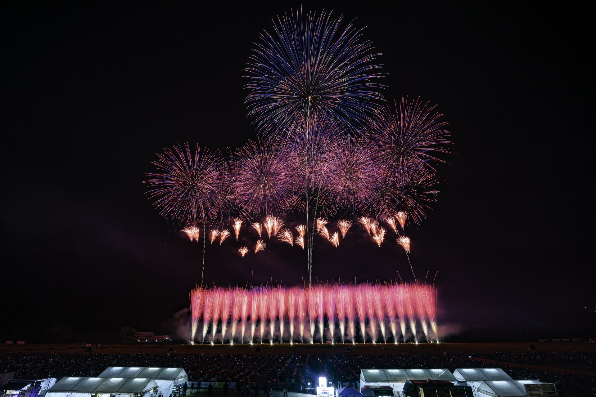 にし阿波の花火 夜空